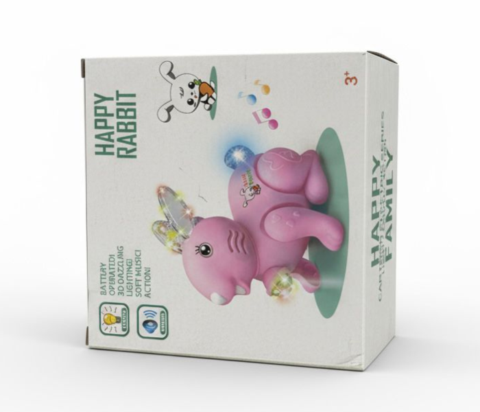 Rabbit Music Toy